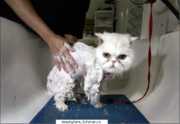 funny strage piks - mmmmrrrrrrrr...!!!!!! - STRANGE PICS