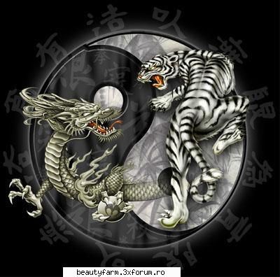 funny strage piks - what about this - STRANGE PICS