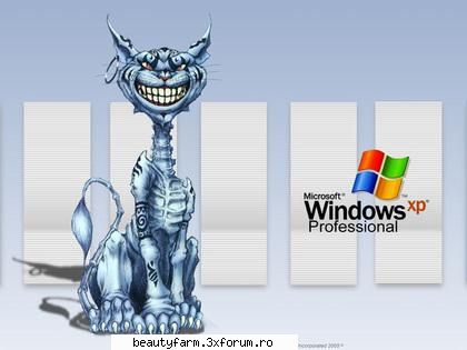 funny strage piks - and the boss: The electrik cat - STRANGE PICS