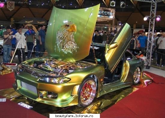 nic_de_cum' dream - As avea si eu un vis - TASTE THE ITALIAN STYLE - ZONDA