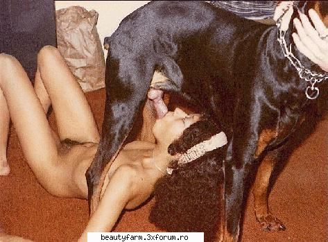 porno 18+ - asa se goleste cainele sa nu se corceasca - SEXY
